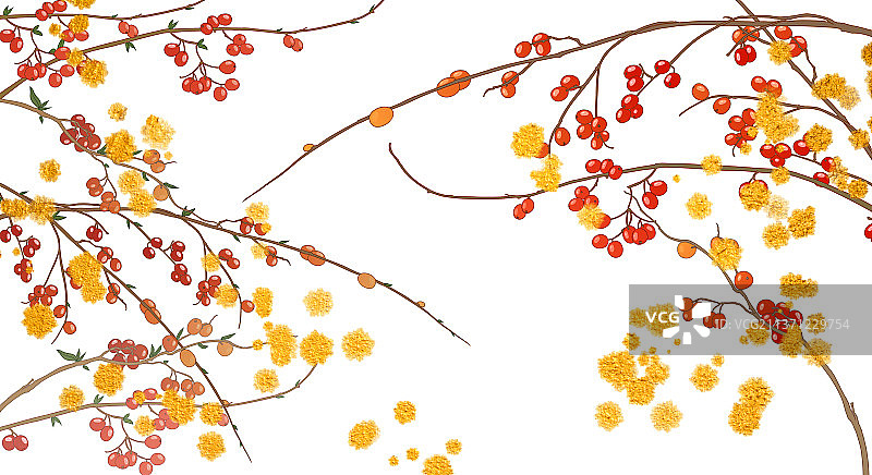 中国国风新中式红山果图片素材