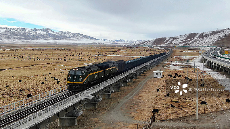 航拍西藏那曲青藏高原上的牦牛牧场和青藏铁路图片素材