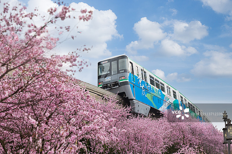重庆城市交通，开往春天的地铁，拍摄与佛图关公园图片素材