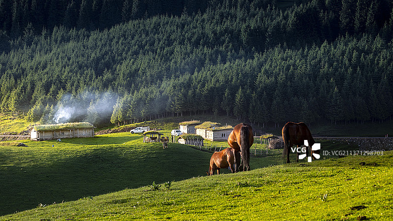牧民生活图片素材