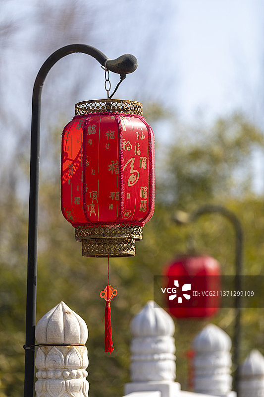 河南省隋唐洛阳城国家遗址公园九州池景区春色满园图片素材