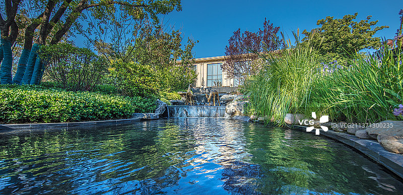 别墅庭院园林景观图片素材