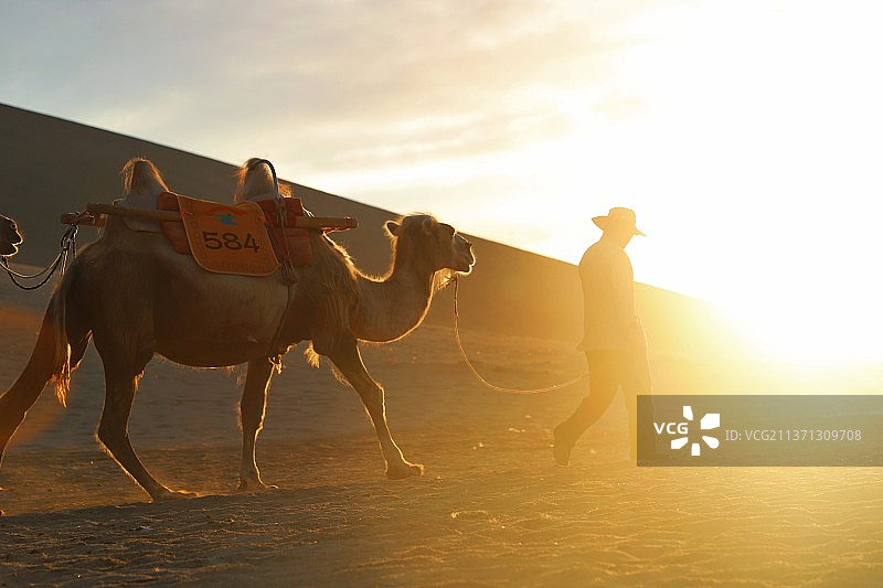 楼兰沙漠人与骆驼图片素材