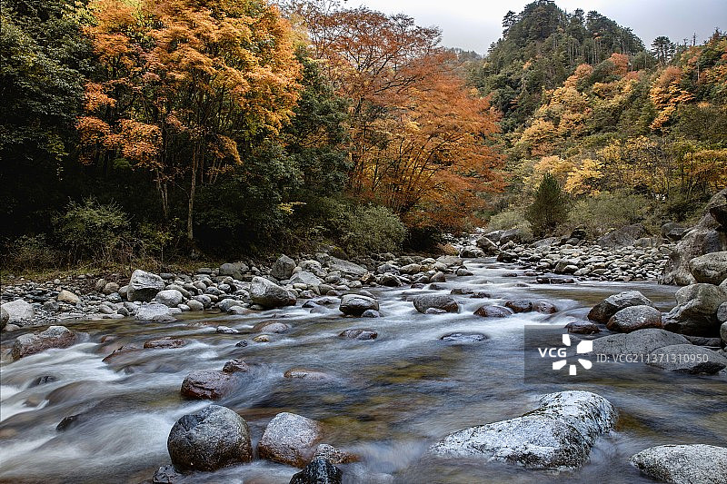 大熊猫国家公园红石河图片素材