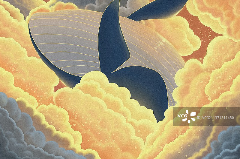 遨游云层的鲸鱼图片素材