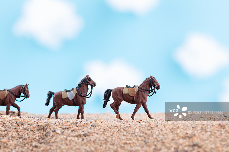 在沙漠里行走的枣红马图片素材