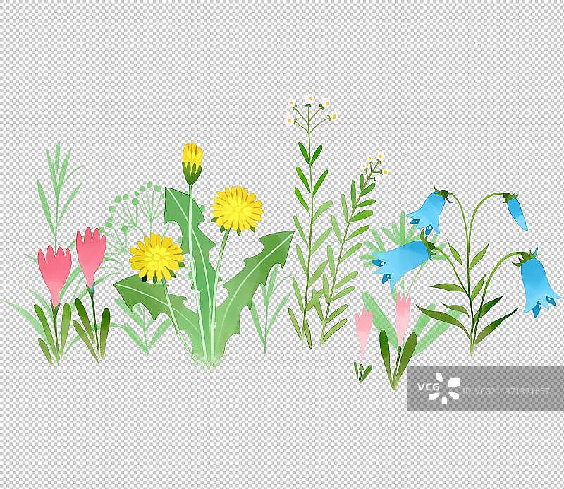 春天的花草图片素材