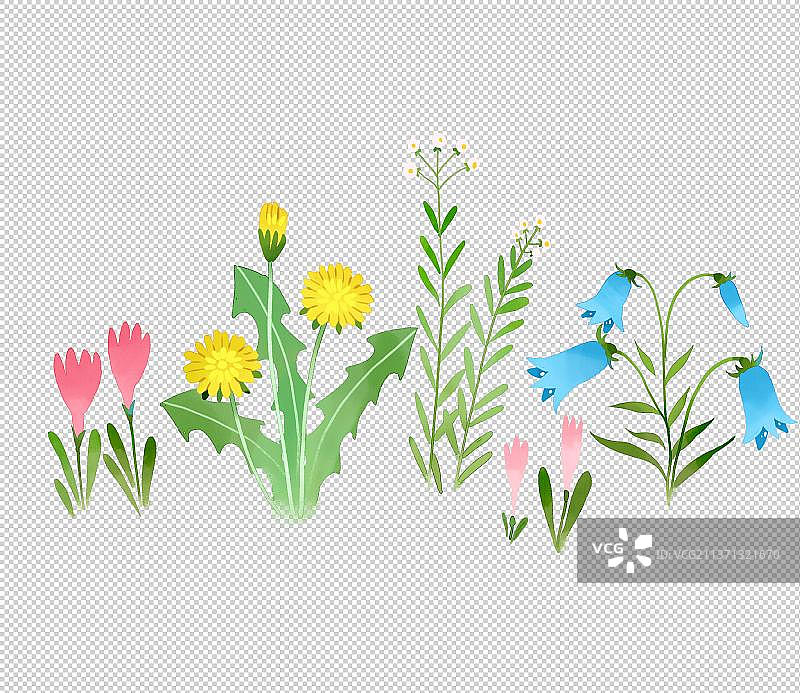 春天的花草图片素材