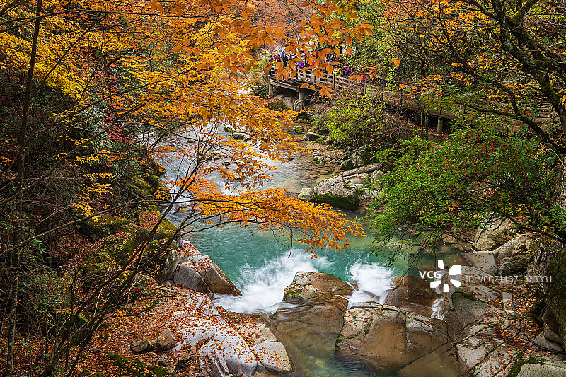 光雾山红叶图片素材