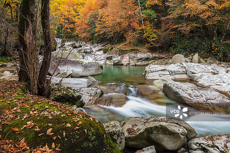 光雾山红叶图片素材