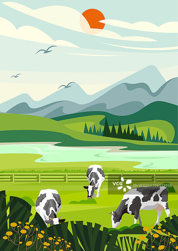 春天的牧场绿草如茵奶牛成群图片素材