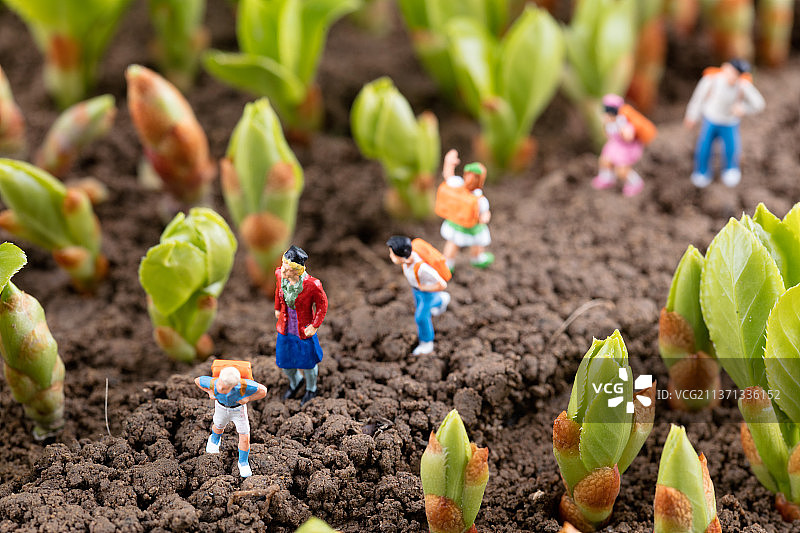 老师带领学生春天出游踏青图片素材
