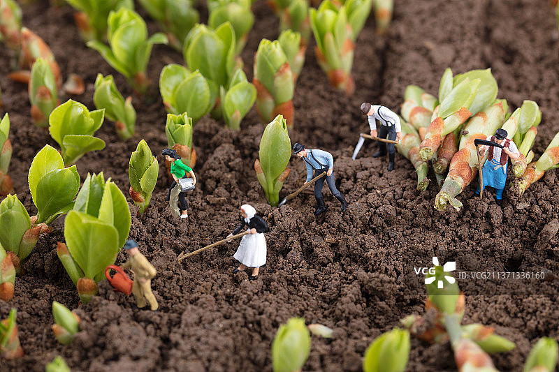微缩世界里种植庄稼的农夫图片素材