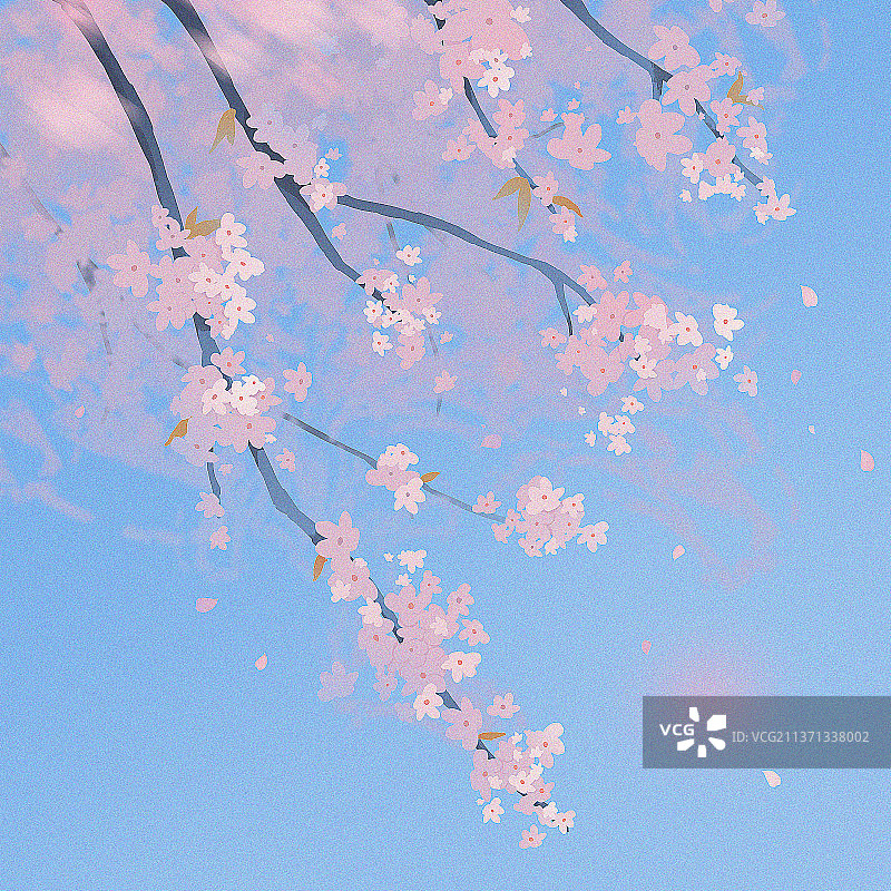 插画春天樱花蓝天清新治愈系图片素材