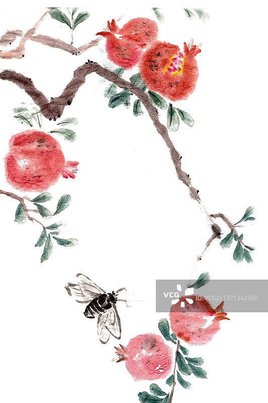 飞蝉与石榴图片素材