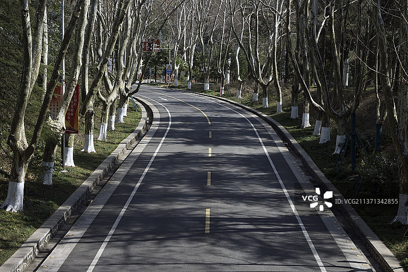 南京中山陵弯曲延伸的梧桐大道图片素材