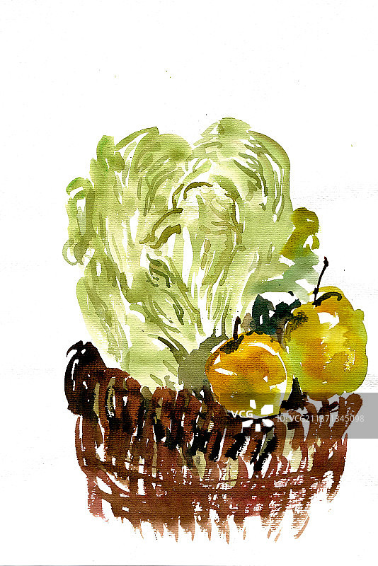 筐中的白菜图片素材