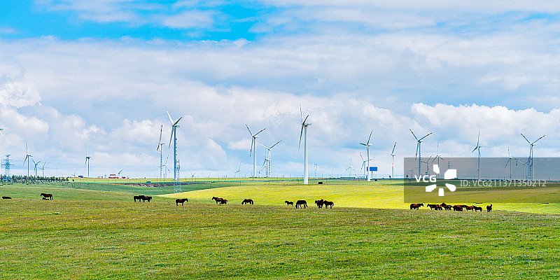 中国内蒙古乌兰察布辉腾锡勒草原上的风电场和马群图片素材