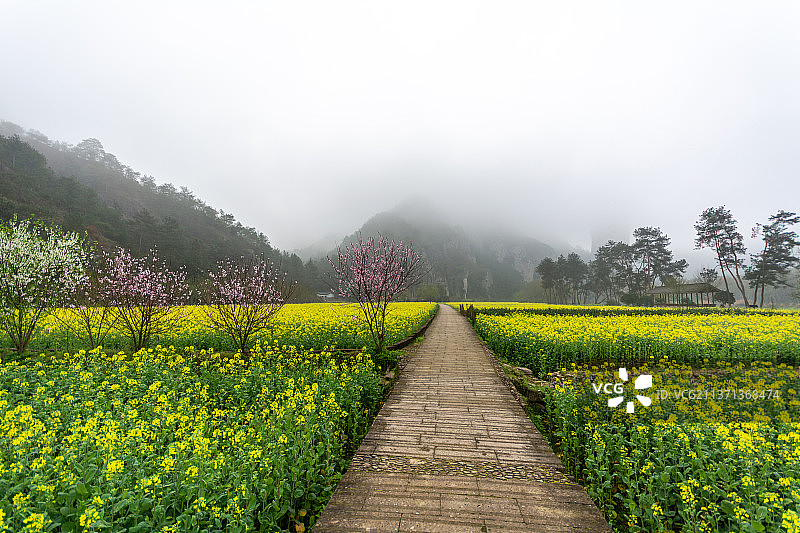 浙江丽水仙都景区风光 朱潭山 春天 江南 田园 乡村 缙云县图片素材