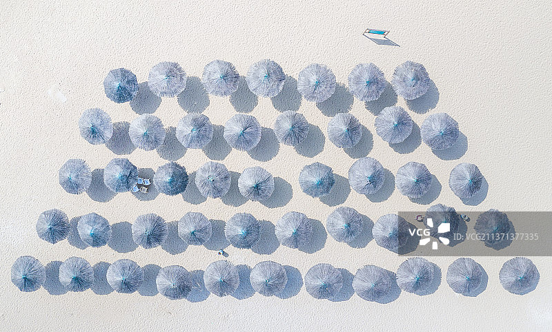 沙滩草蘑菇+江苏省连云港市连云区连岛图片素材