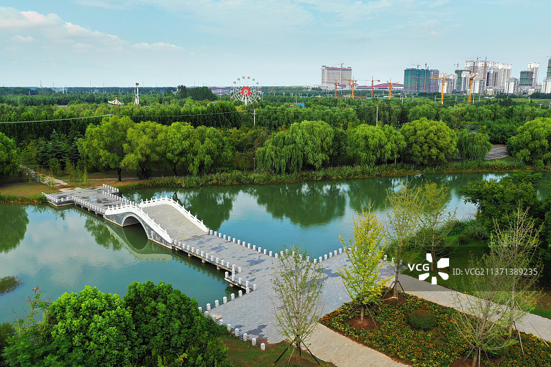 白桥卧碧水+江苏省徐州市邳州市东湖街道辽河东路沙沟湖水杉公园图片素材