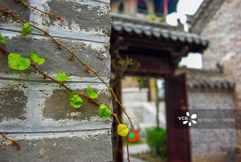 古墙片叶+江苏省徐州市邳州市土山镇关帝庙图片素材
