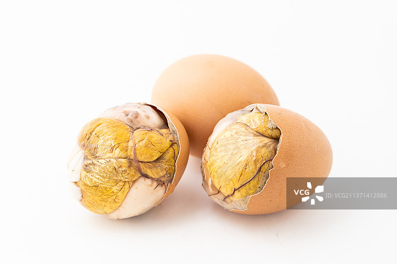 白色背景下的新鲜活珠子图片素材