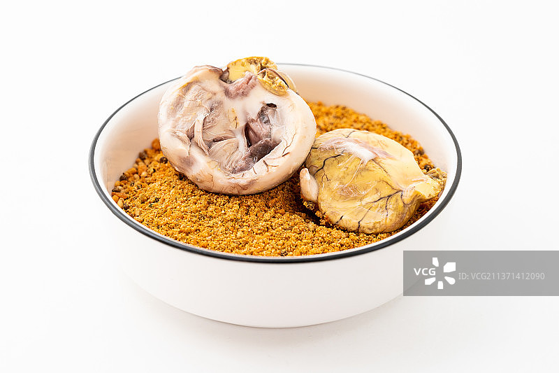 白色背景下的新鲜活珠子图片素材