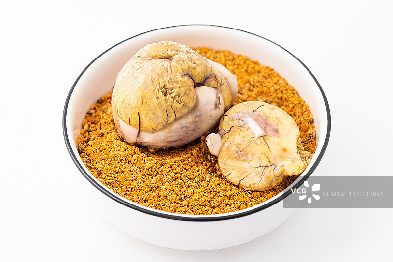 白色背景下的新鲜活珠子图片素材