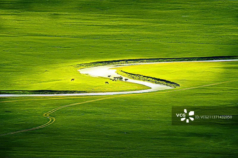 莫日格勒河畔图片素材