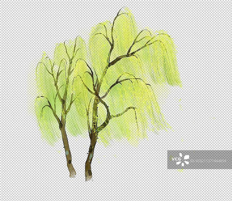 柳树元素插画图片素材