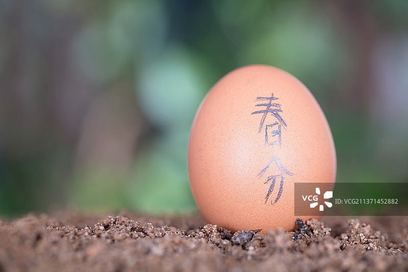 土壤上的鸡蛋上写着春分两个汉字图片素材