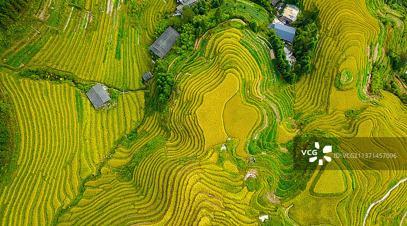 桂林龙脊梯田航拍图片素材