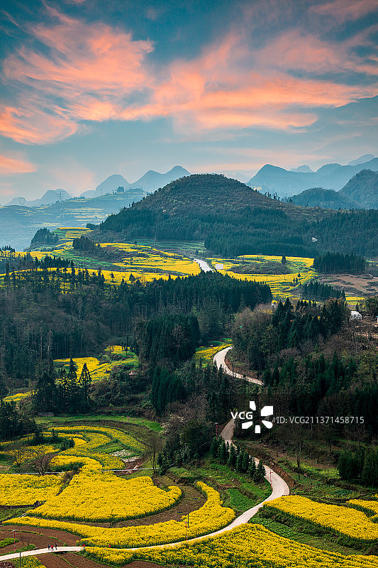 云南罗平油菜花田盛开的春天图片素材