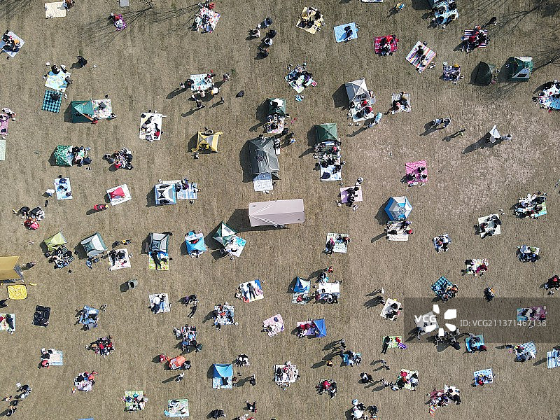 草坪上晒太阳的人图片素材