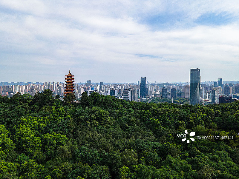 重庆两江新区照母山揽星塔图片素材