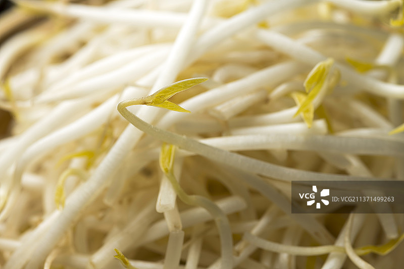 一簸箕豆芽菜特写木桌面背景图片素材