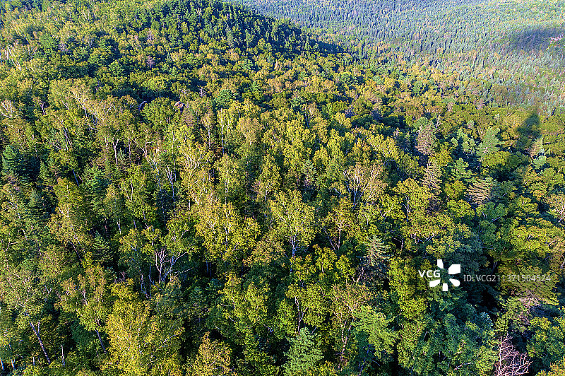 中国黑龙江伊春汤旺河林海奇石风景区图片素材
