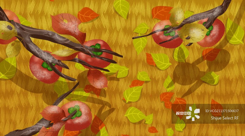 二十四节气霜降GIF动图图片素材