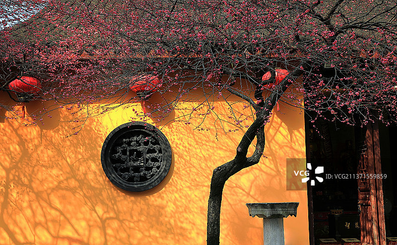 寺梅娑婆图片素材