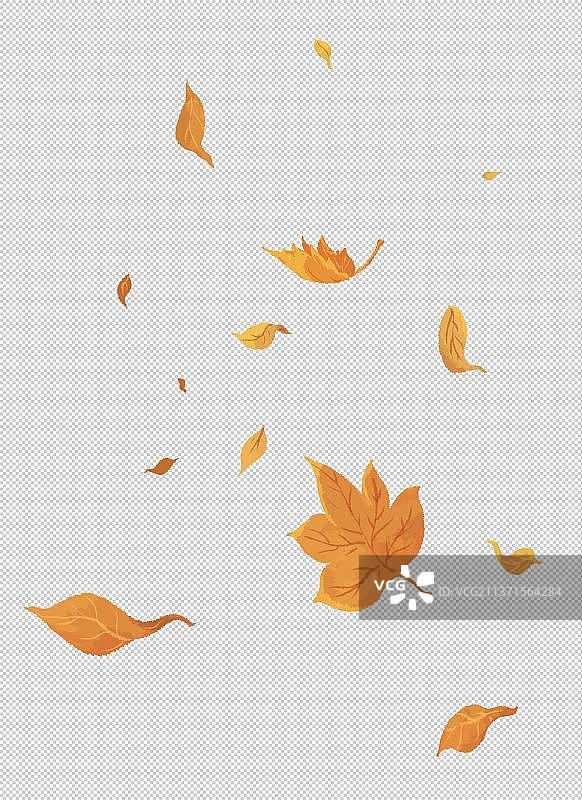 秋天落叶插画元素图片素材