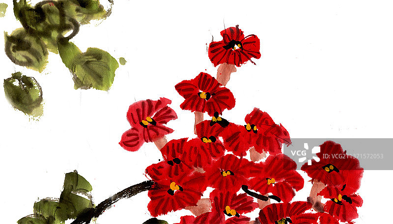 盛开的木棉花图片素材