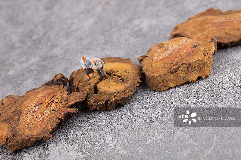 中药大黄和老人人偶模型图片素材