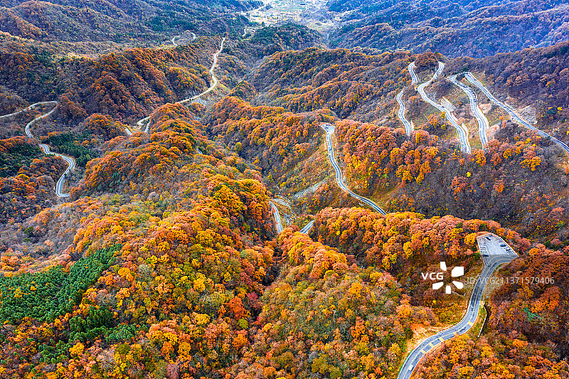 《这里的山路十八弯》图片素材