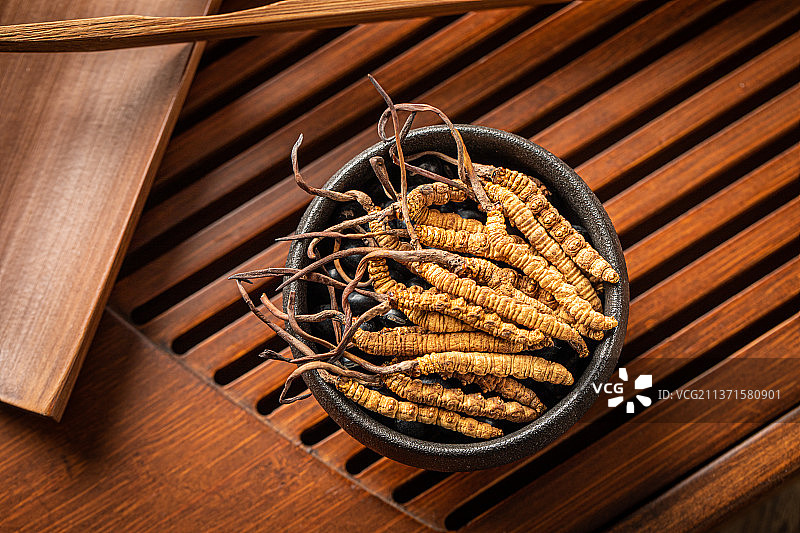 中药材冬虫夏草图片素材