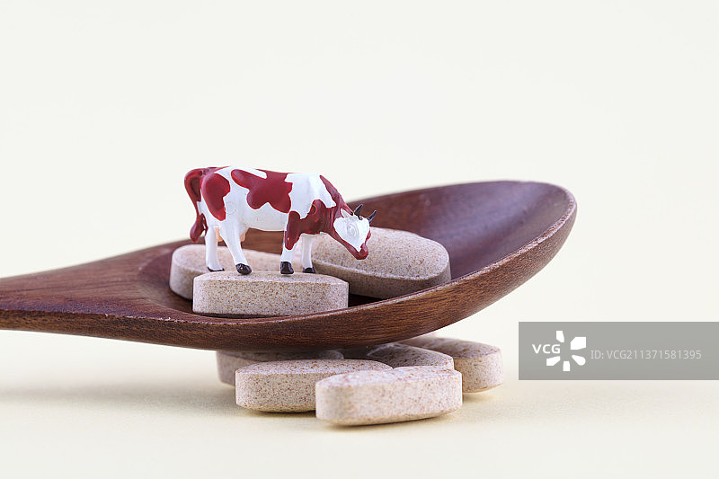 药物补品钙片和一头牛模型图片素材