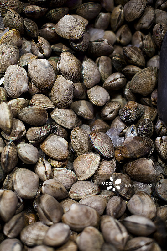 市场上堆放的蛤蜊图片素材