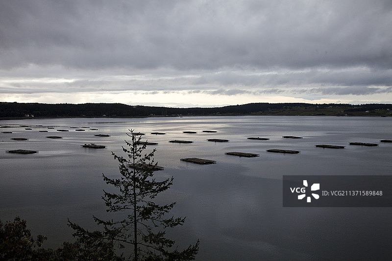 惠德比岛多云傍晚的三文鱼养殖场图片素材