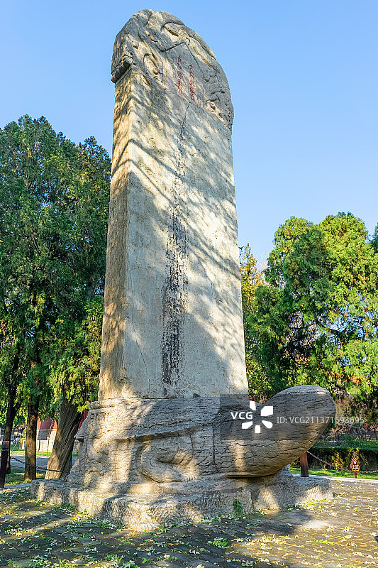 中国山东省泰安市泰山区泰山旅游景区著名景点，古代建筑行宫岱庙里的古典式碑刻拍摄主题,背石碑的乌龟赑屃图片素材