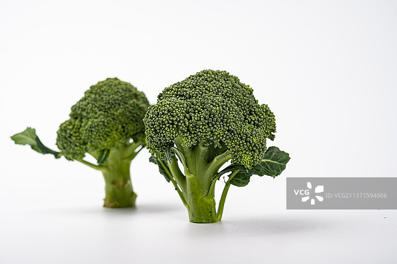 有机绿色蔬菜西兰花图片素材